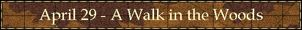 April 29 - A Walk in the Woods